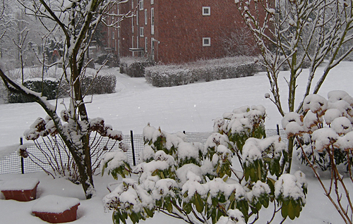 Winter Januar 2010 Winter Januar 2010
